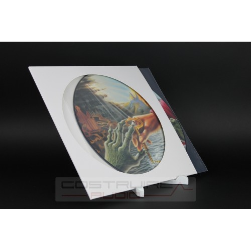 COMPLETE KIT WHITE Picture Disc cover + PDK size envelope - 10 pieces