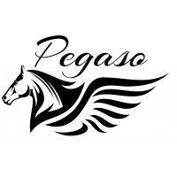 Pegaso Pegaso