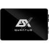 ESX Q-FOURV2 (24V) 4-Channel Class D Digital Compact Amplifier  4 x 100 Watts 2 Ohms 800 Watts Max. Output Power QUANTUM series